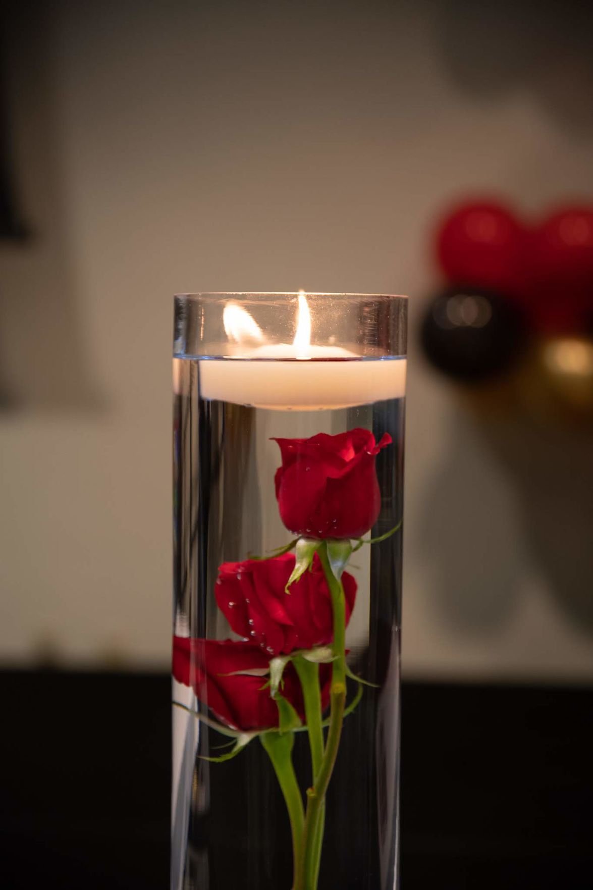 Evening for Dove House 2019 (15).jpg